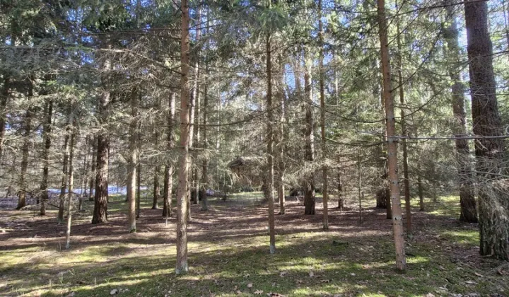 Działka rekreacyjna Osiedle Wilga