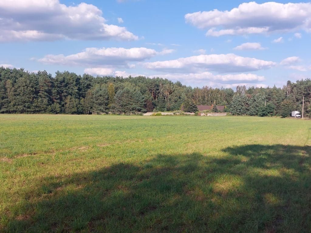 Działka rolno-budowlana Zamęty. Zdjęcie 8