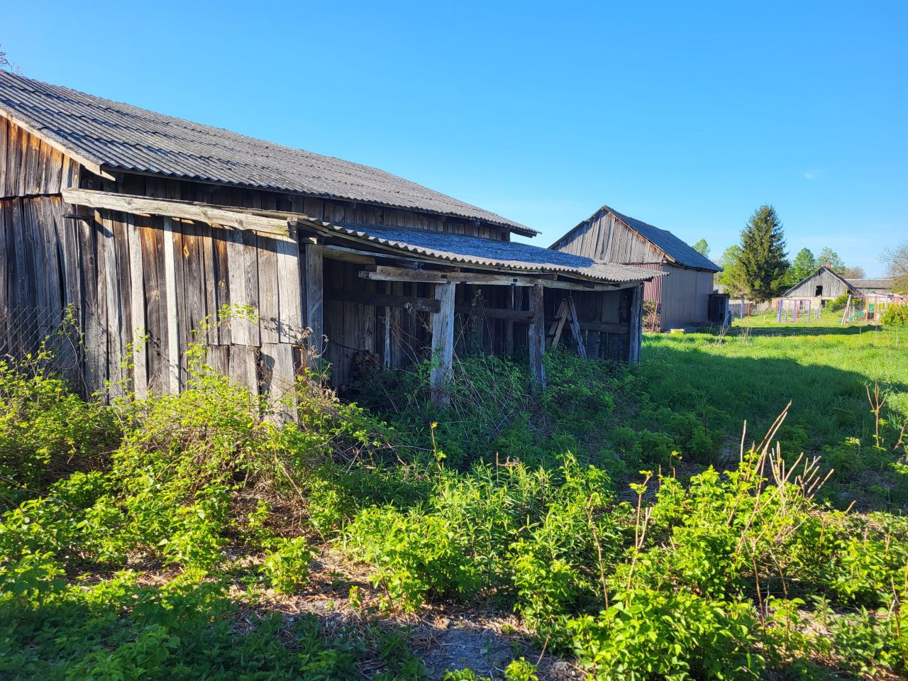 Działka rolno-budowlana Kamień. Zdjęcie 13