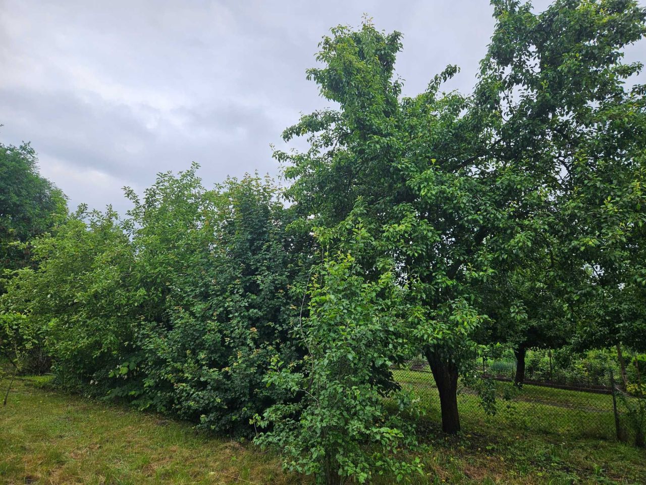 Działka rod Oława Centrum. Zdjęcie 3