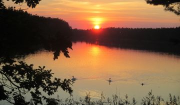 Działka rolno-budowlana Danowskie