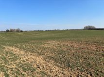 Działka siedliskowa Rgielsko. Zdjęcie 2