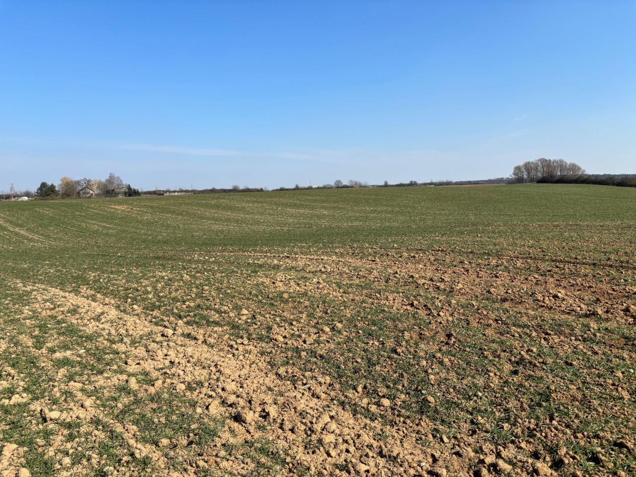 Działka siedliskowa Rgielsko. Zdjęcie 3