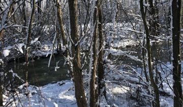 Działka rolno-budowlana Długopole Górne