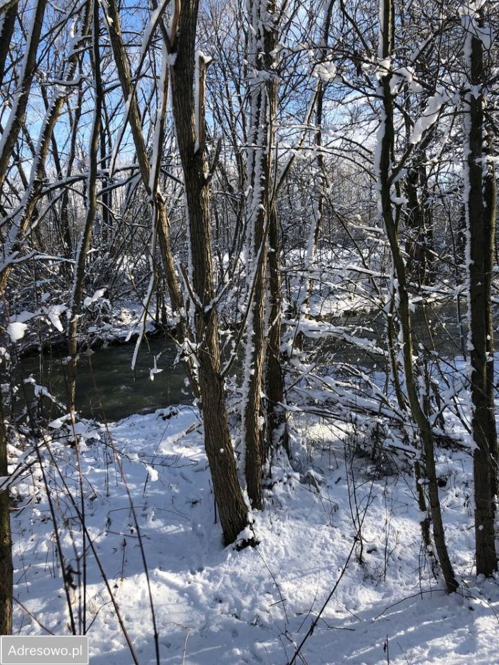 Działka rolno-budowlana Długopole Górne. Zdjęcie 2
