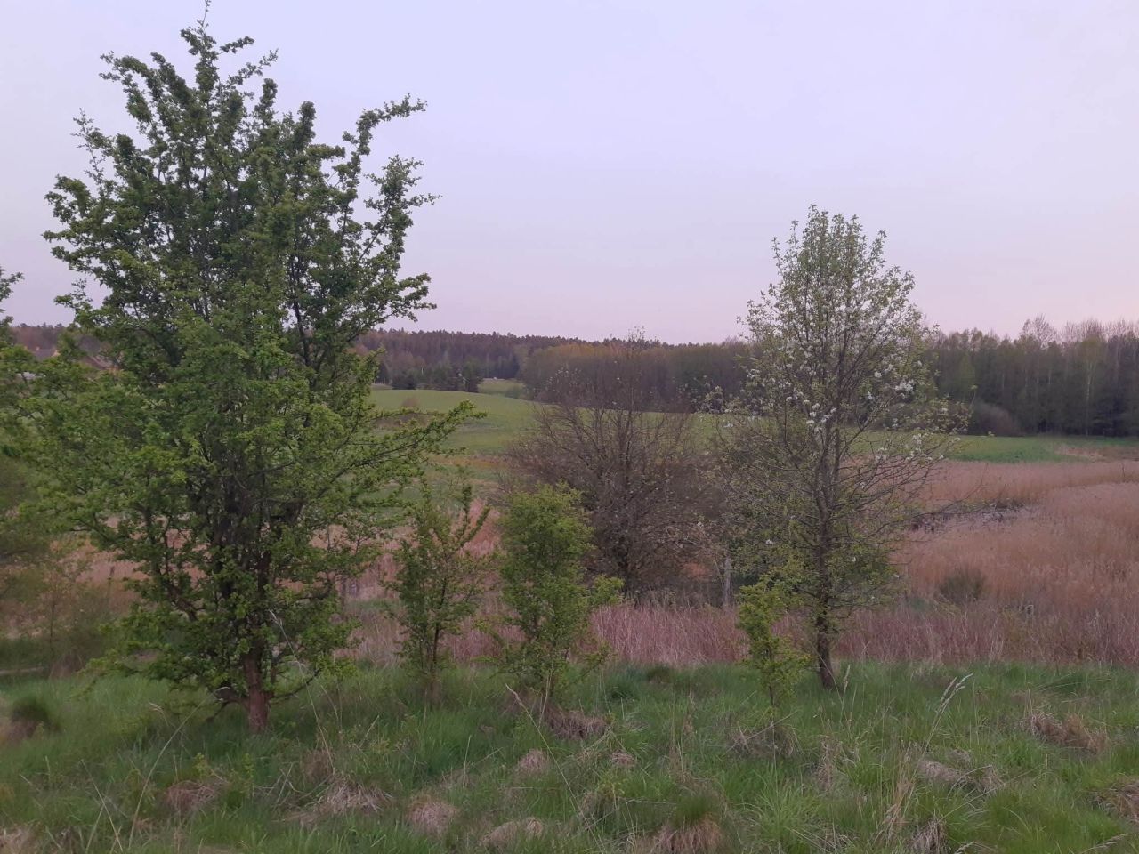 Działka budowlana Łukta, Łukta. Zdjęcie 6