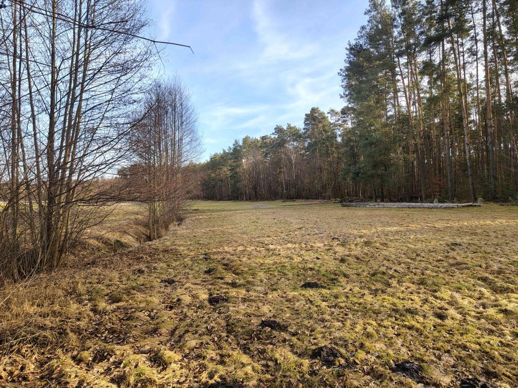 Działka budowlana Biadaszka Zwierzyniec. Zdjęcie 1