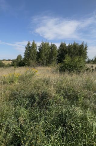 Działka budowlana Kaczki, ul. Słoneczna. Zdjęcie 6
