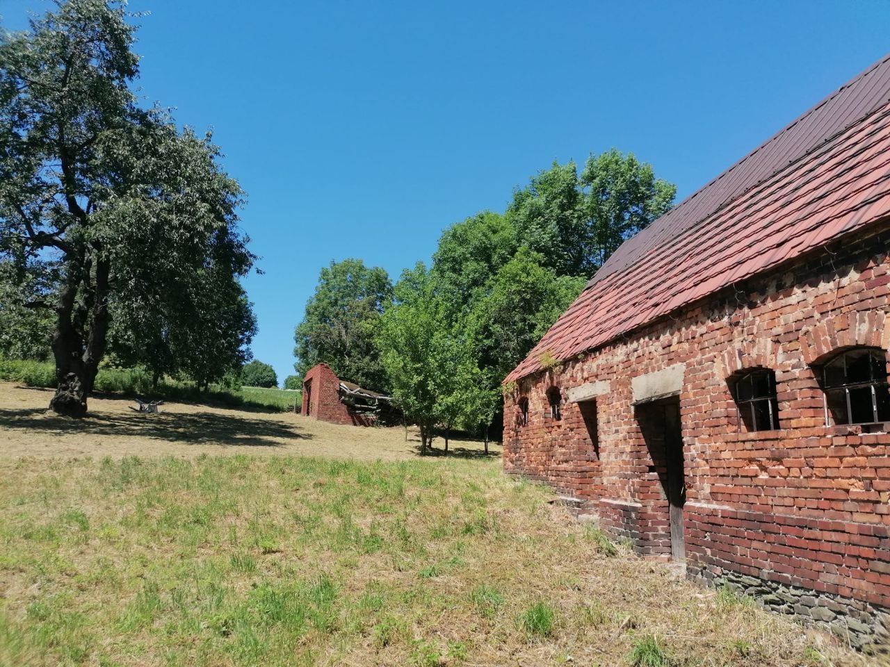 Działka rolno-budowlana Stare Rochowice, Stare Rochowice. Zdjęcie 14