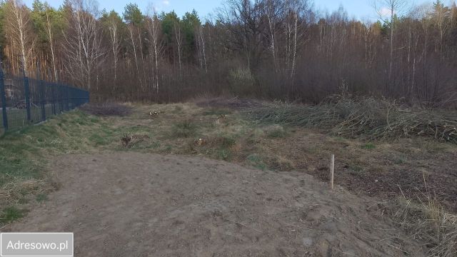 Działka budowlana Zielona Góra Ochla. Zdjęcie 1