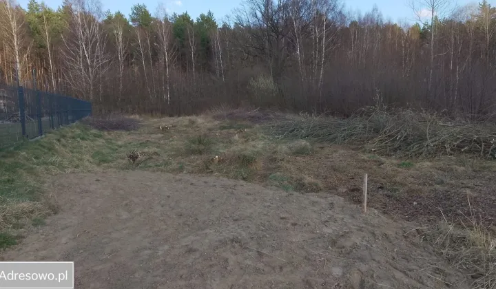 Działka budowlana Zielona Góra Ochla