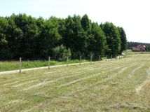 Działka rolna Prawdowo. Zdjęcie 3