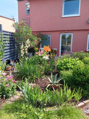 dom wolnostojący, 9 pokoi Sadki. Zdjęcie 1