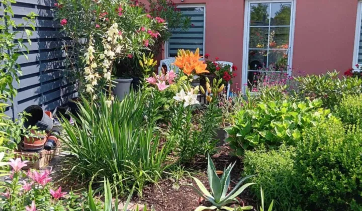 dom wolnostojący, 9 pokoi Sadki