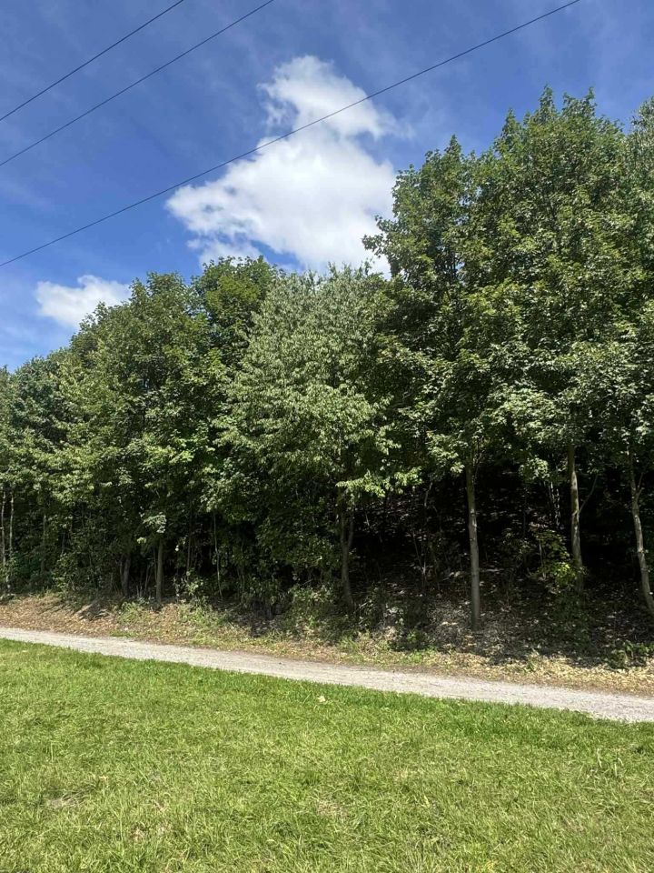 Działka rolna Michałowice. Zdjęcie 7