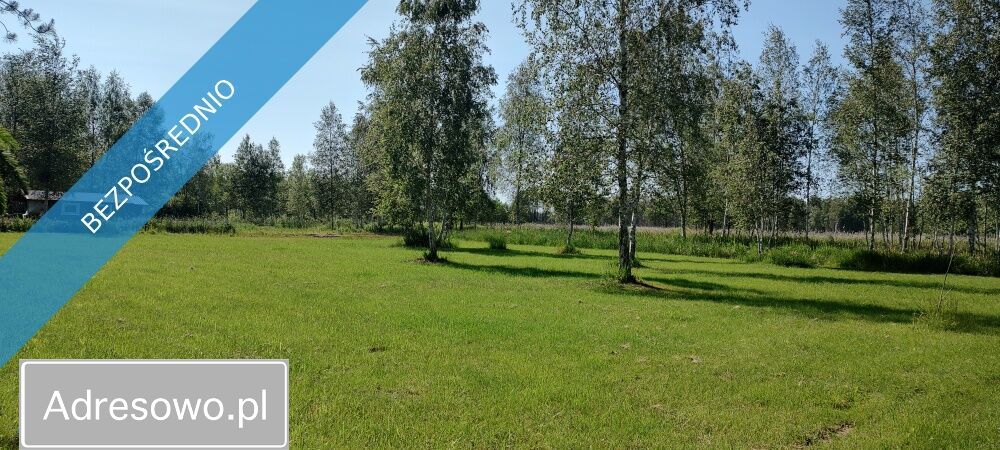 Działka rolna Szczechy Małe. Zdjęcie 2