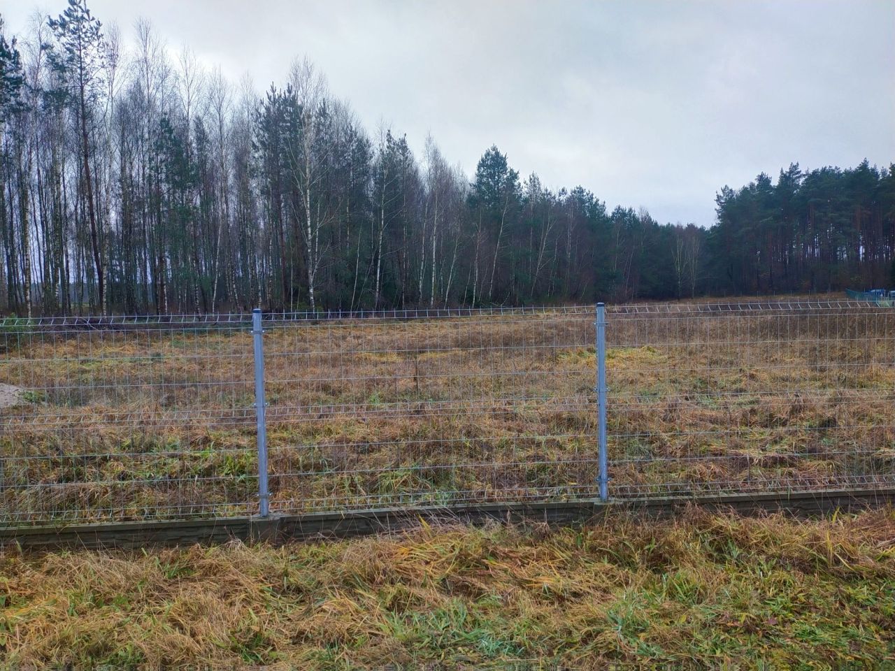 Działka rolno-budowlana Borzęcinko. Zdjęcie 1