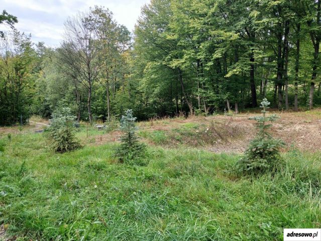 Działka budowlana Limanowa, ul. Partyzantów. Zdjęcie 9