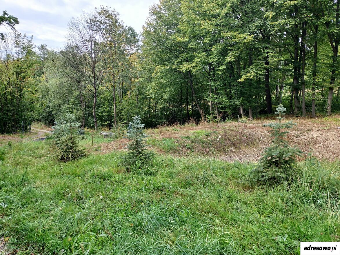 Działka rolno-budowlana Limanowa, ul. Partyzantów. Zdjęcie 7
