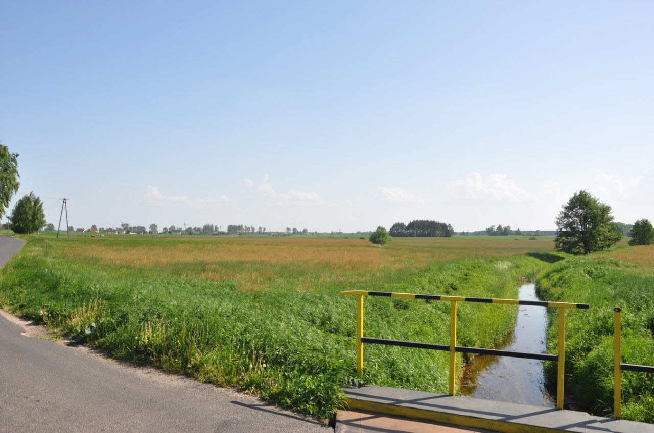 Działka rolna Kotomierz. Zdjęcie 2
