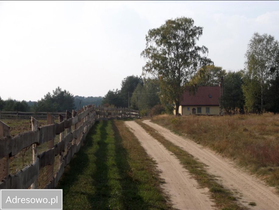 Działka budowlana Pąchy. Zdjęcie 5