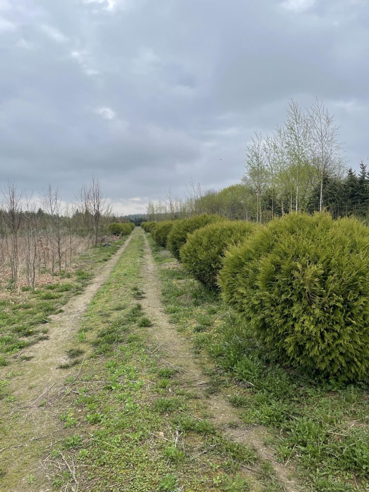Działka rolna Nowa Wieś Ełcka. Zdjęcie 7