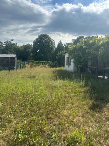 Działka rod Powodowo. Zdjęcie 1