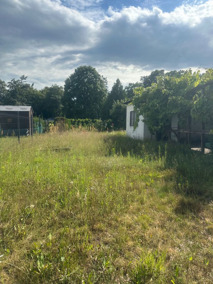 Działka rod Powodowo