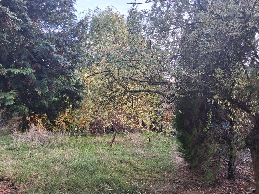 Działka rod Kalisz. Zdjęcie 3