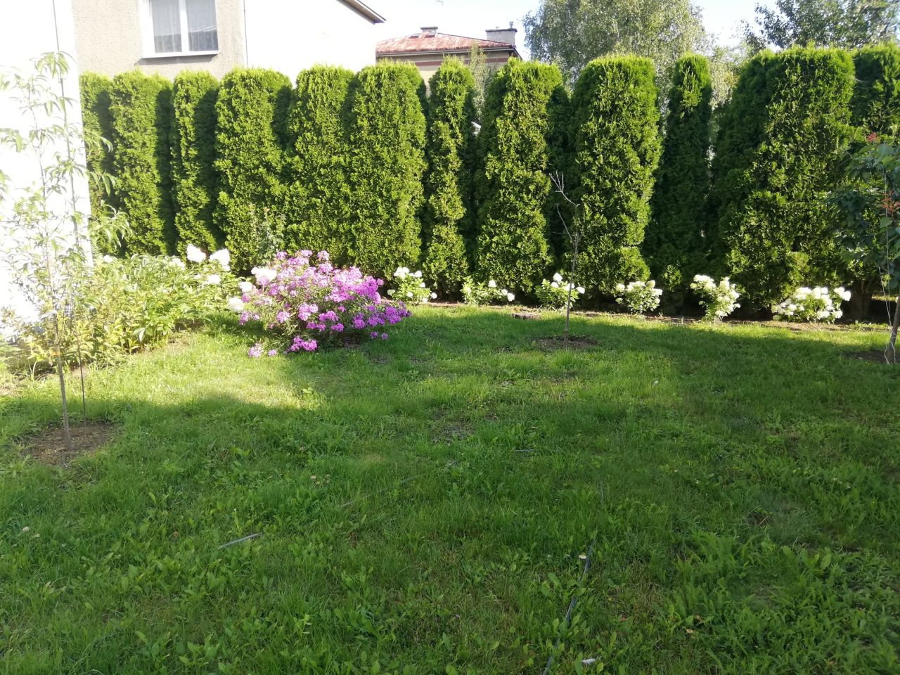 dom wolnostojący, 5 pokoi Płońsk, ul. Lipowa. Zdjęcie 6