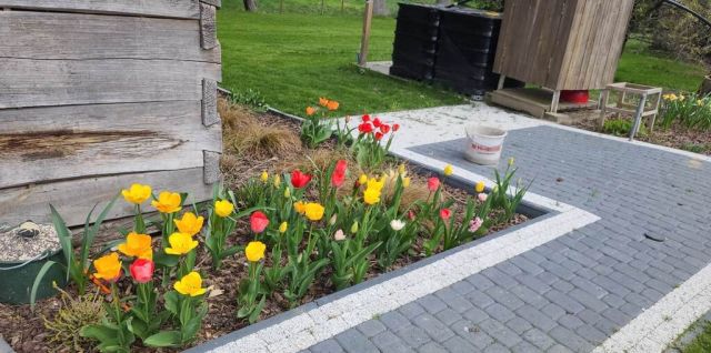 dom, 2 pokoje Sewerynów. Zdjęcie 17