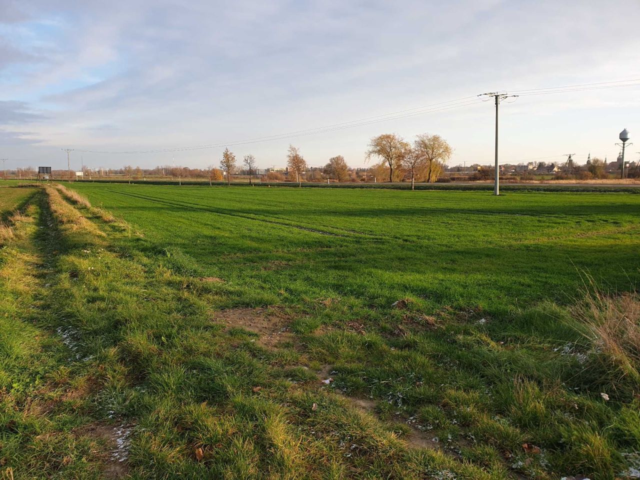 Działka rolna Szprotawa. Zdjęcie 6