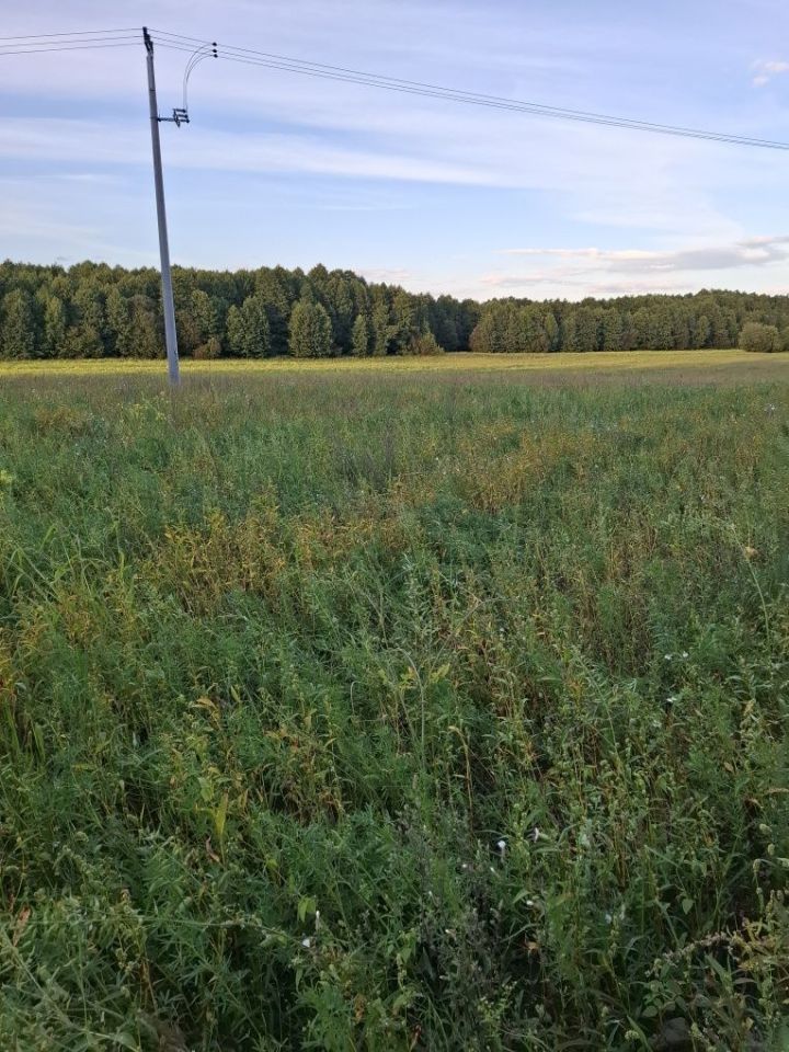Działka rekreacyjna Sochy. Zdjęcie 6