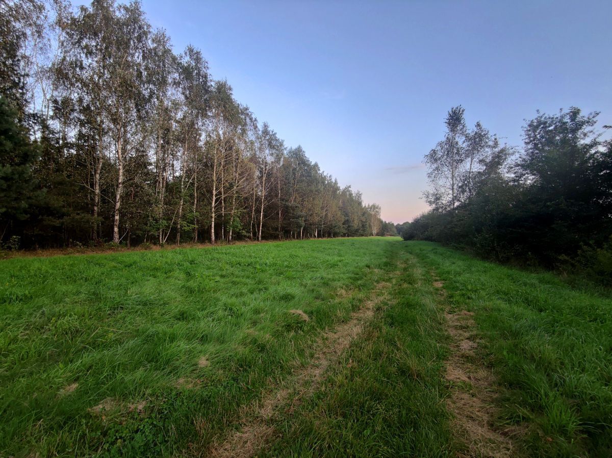 Działka budowlana Bucze, ul. Rudzka. Zdjęcie 15