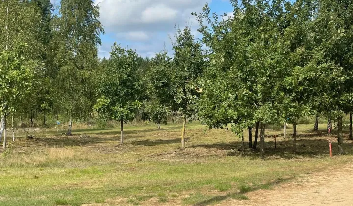 Działka budowlana Rzędziany