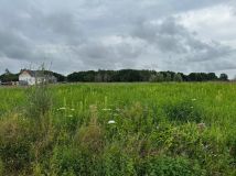 Działka budowlana Stary Borek. Zdjęcie 1