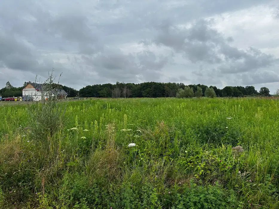 Działka budowlana Stary Borek. Zdjęcie 2