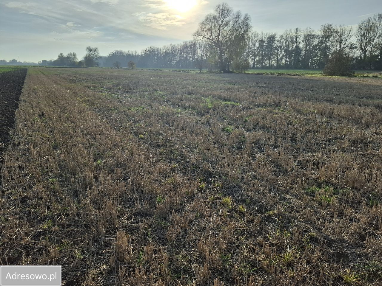 Działka rolno-budowlana Gdańsk Świbno. Zdjęcie 7