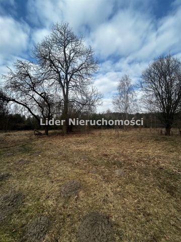 Działka rolno-budowlana Grzeszyn. Zdjęcie 5