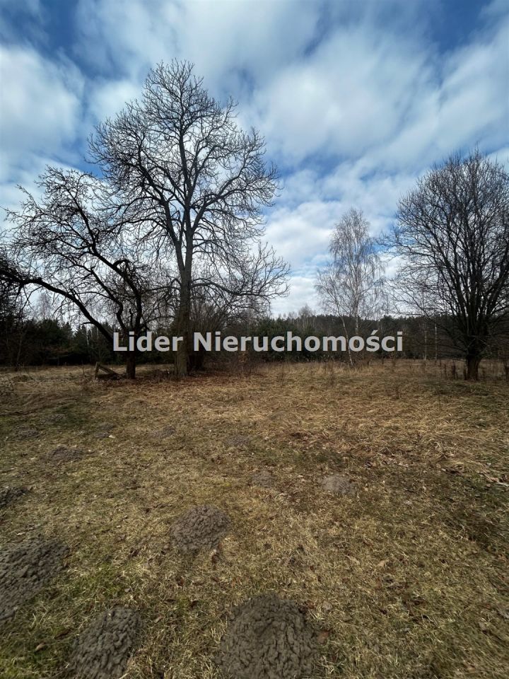 Działka rolno-budowlana Grzeszyn. Zdjęcie 5