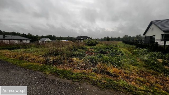Działka rolno-budowlana Brynek. Zdjęcie 1