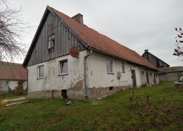 Działka rolna Jarzeń. Zdjęcie 2