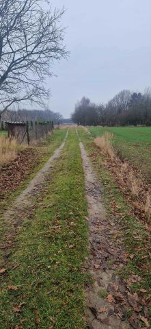 Działka rolna Marysin. Zdjęcie 1