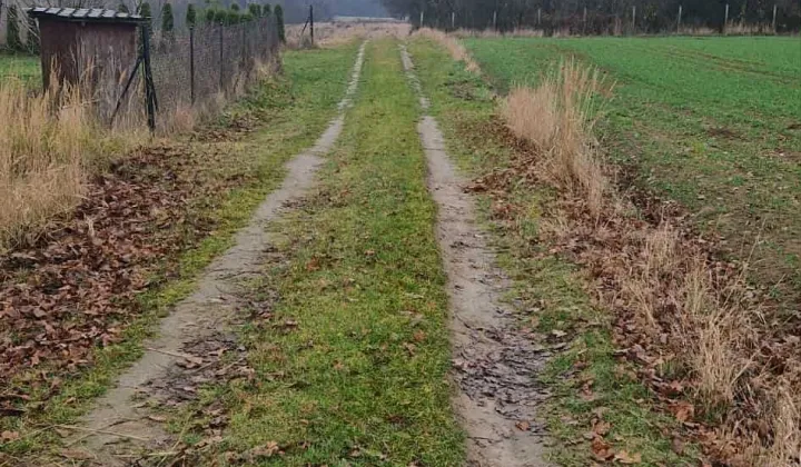Działka rolna Marysin