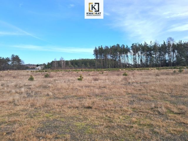 Działka budowlana Leontyna, ul. Strażacka. Zdjęcie 4