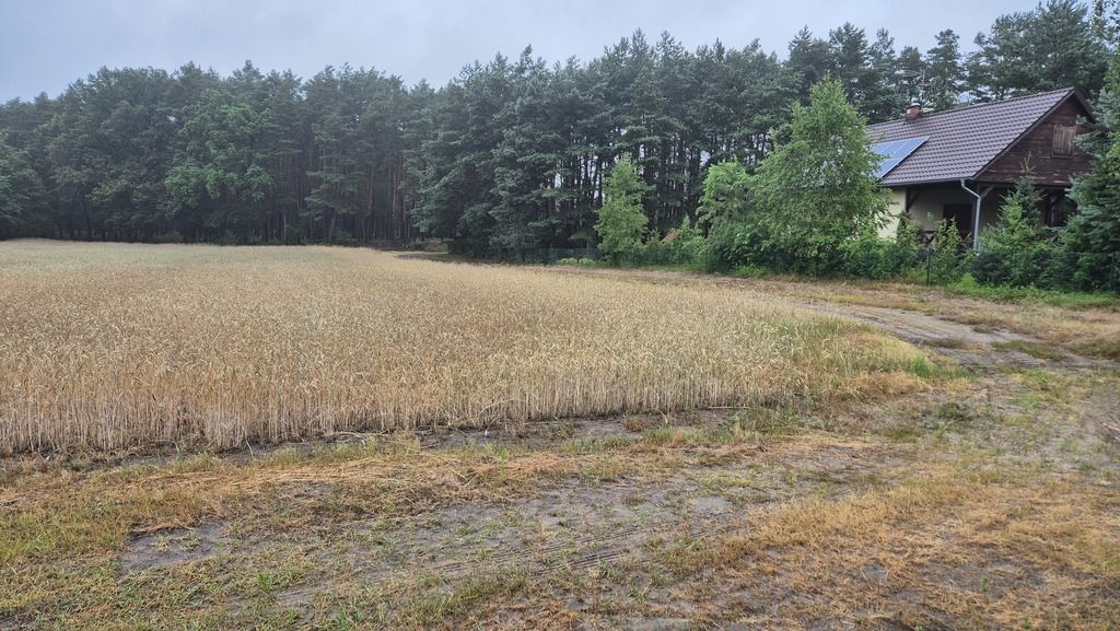 Działka siedliskowa Chojno-Błota Małe. Zdjęcie 22