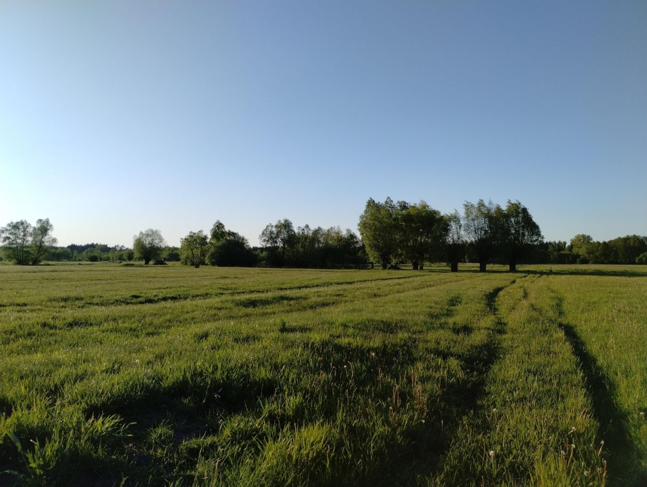 Działka budowlana Czubajowizna. Zdjęcie 3