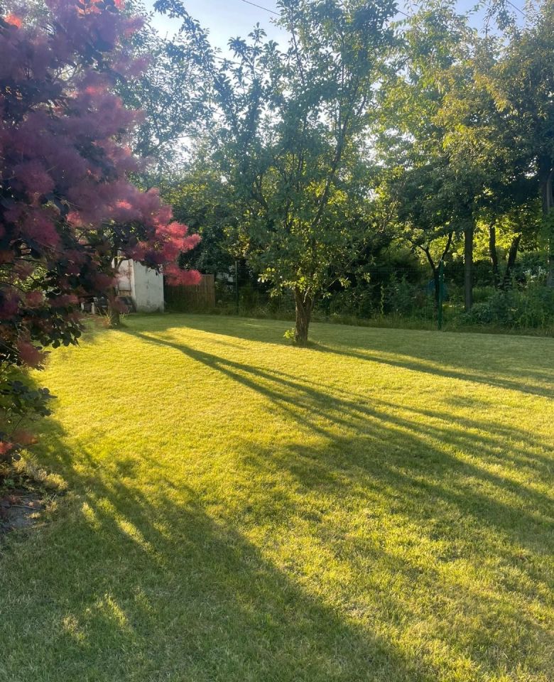 Działka leśna Chorzów. Zdjęcie 8