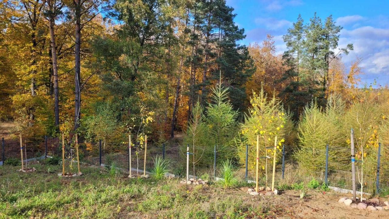 Działka rekreacyjna Kłodno. Zdjęcie 7