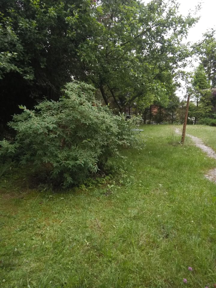 dom wolnostojący, 6 pokoi Skorzewo. Zdjęcie 21